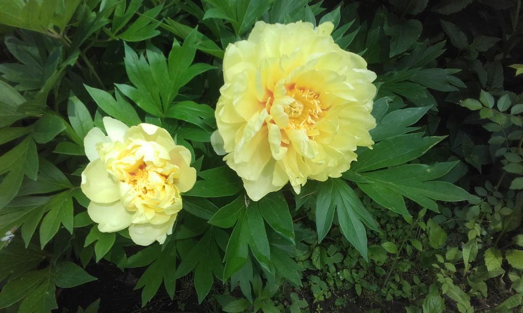 Garten Vendeghaz เอ็กเกอร์ ภายนอก รูปภาพ