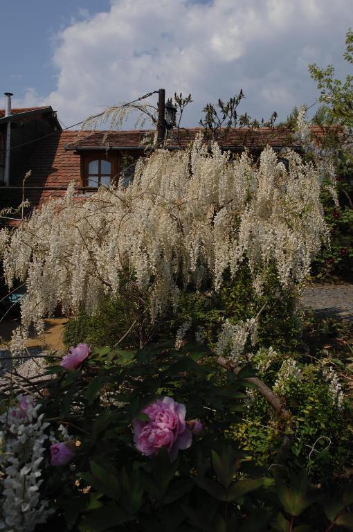 Garten Vendeghaz เอ็กเกอร์ ภายนอก รูปภาพ