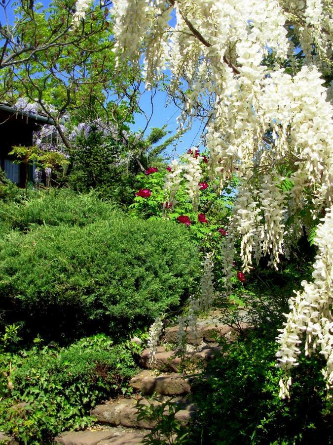 Garten Vendeghaz เอ็กเกอร์ ภายนอก รูปภาพ