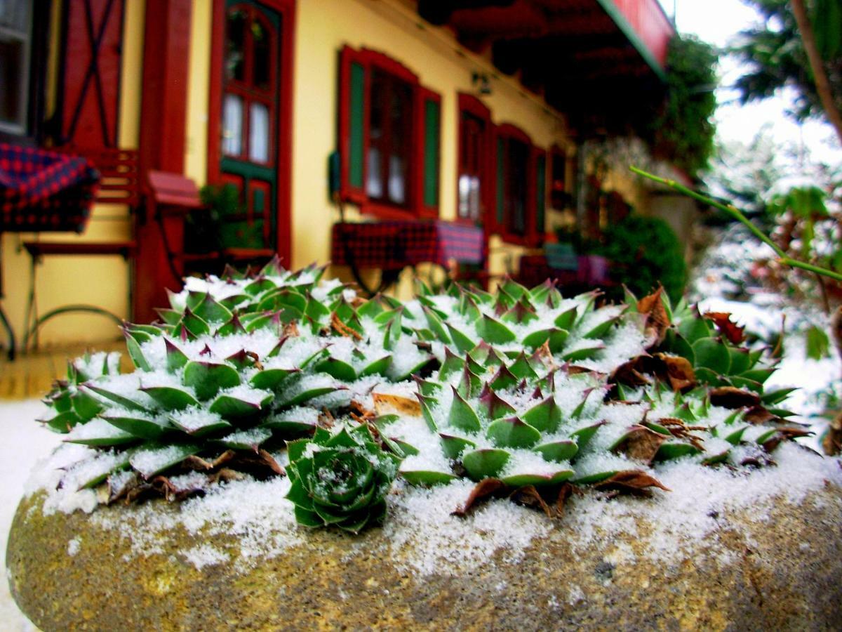Garten Vendeghaz เอ็กเกอร์ ภายนอก รูปภาพ